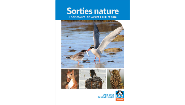 Nouveau "Sortie Nature"  !